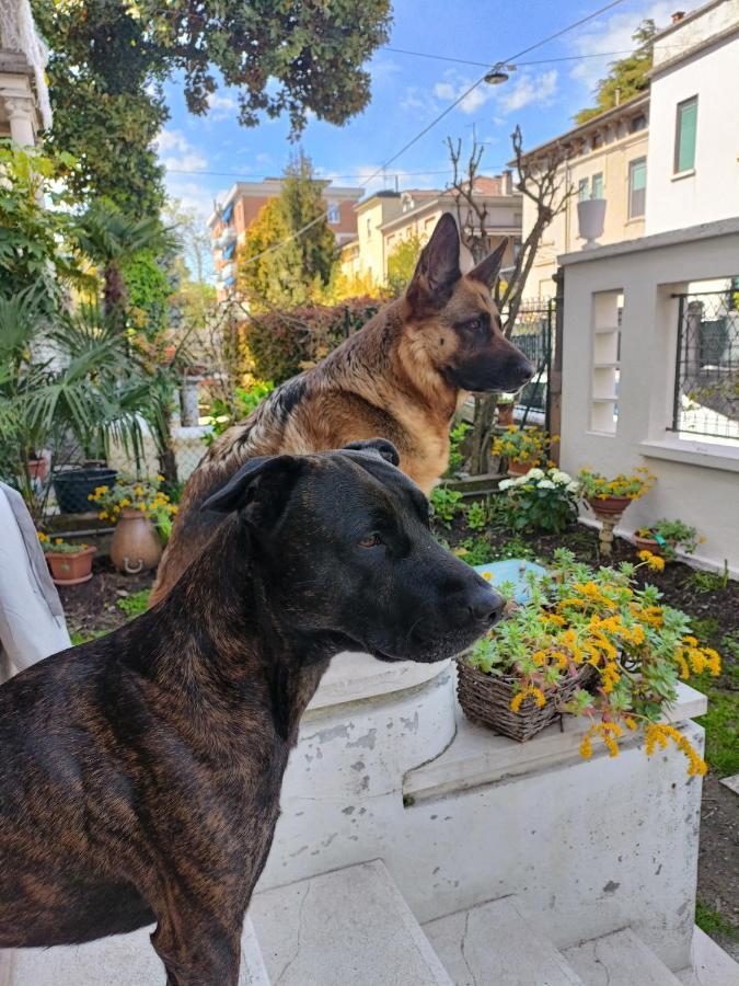 Mavipagi Apartman Verona Kültér fotó