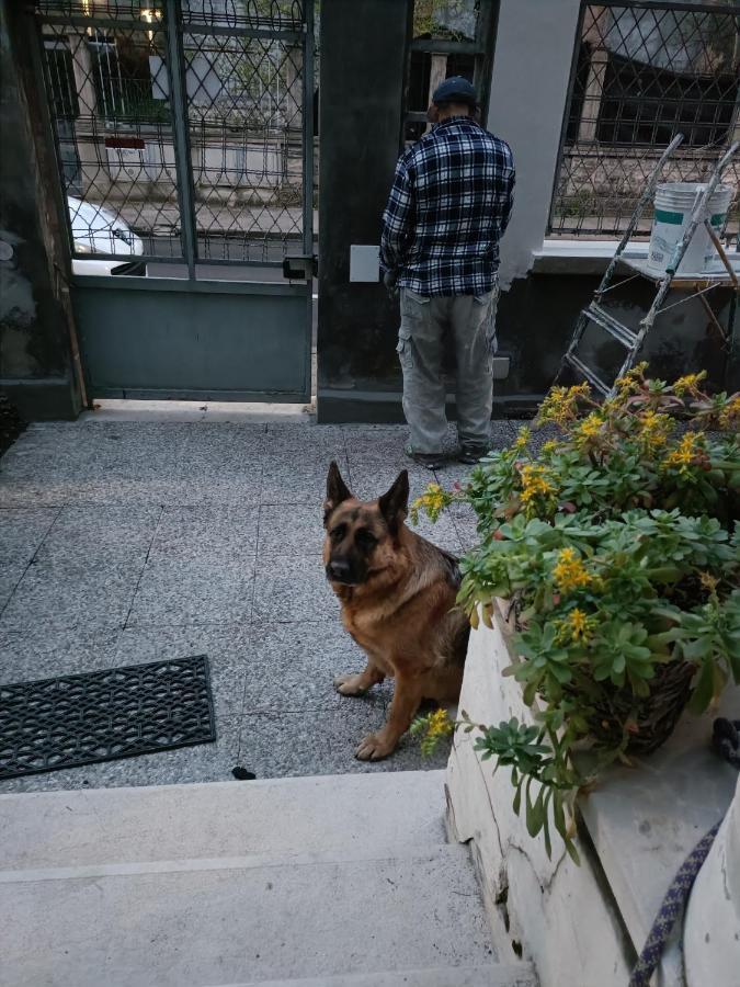 Mavipagi Apartman Verona Kültér fotó